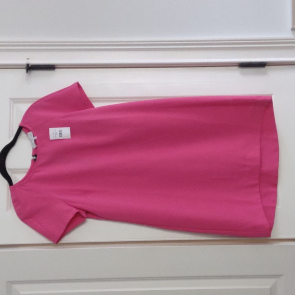 Pink Aline Capsleeve Dress